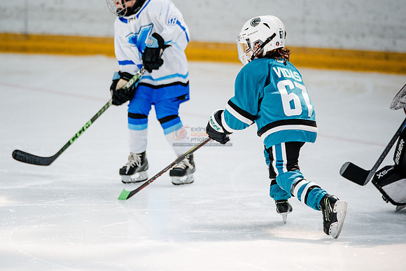 Sharks-may3-0146