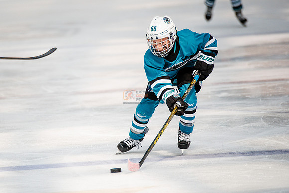 Sharks-may3-0202