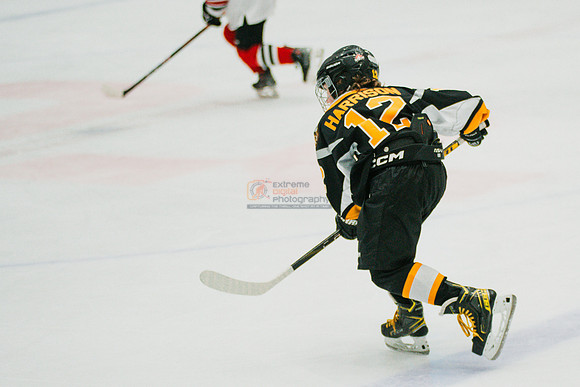 hawksnov92024-396