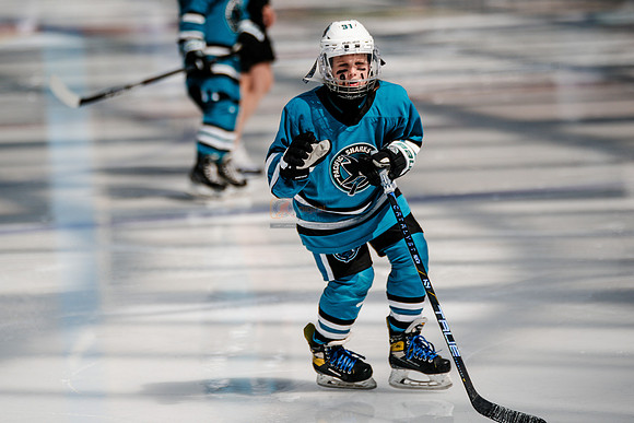 Sharks-may3-0015
