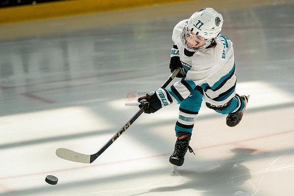 sharks-may2-0014