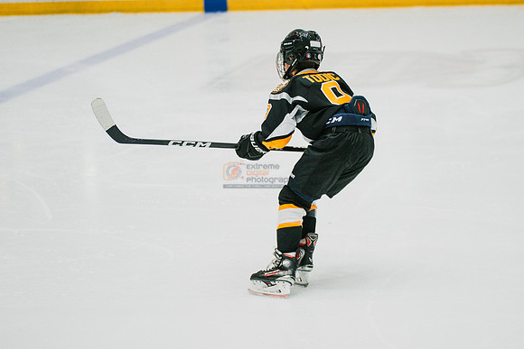 hawksnov92024-100