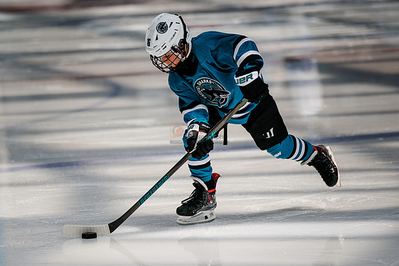 Sharks-may3-0025