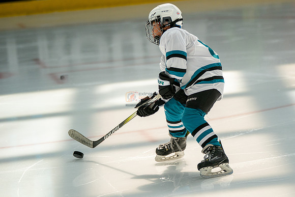 sharks-may2-0027