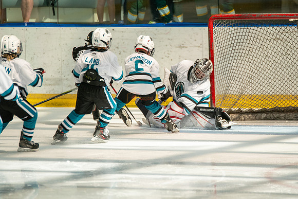 sharks-may2-0184