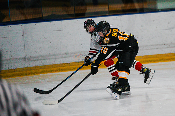 hawksnov92024-20