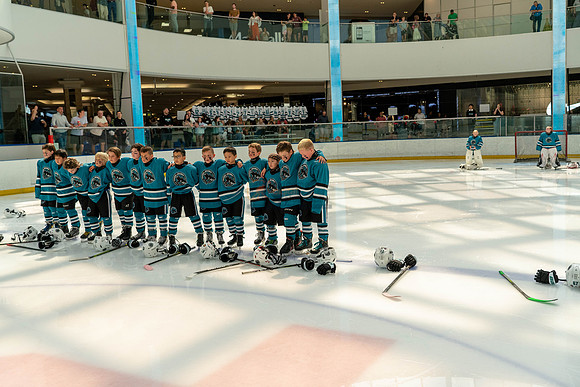 Sharks-may3-9916