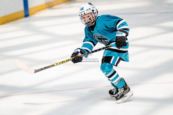 Sharks-may3-0250