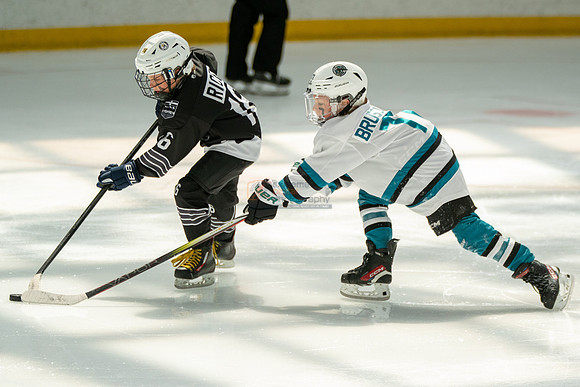 sharks-may2-0386