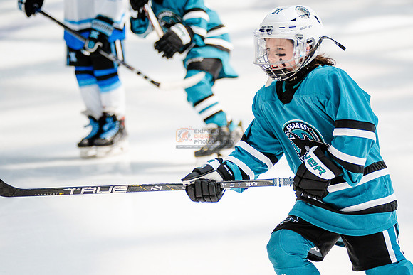 Sharks-may3-0162