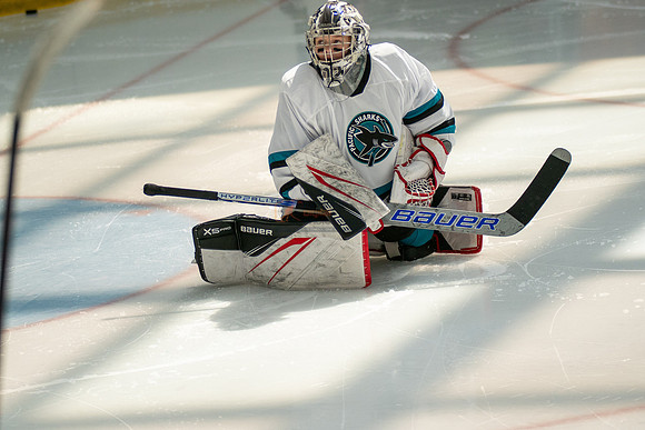 sharks-may2-0020