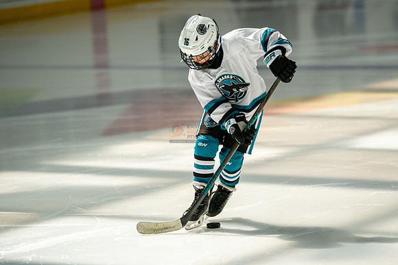 sharks-may2-0050