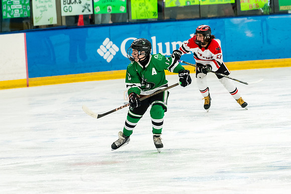 allstar-feb8-Basha-green-9429