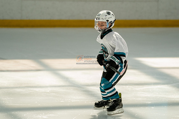 sharks-may2-0339