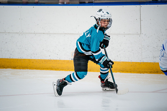 Sharks-may3-0175