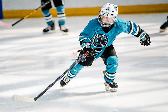 Sharks-may3-0121