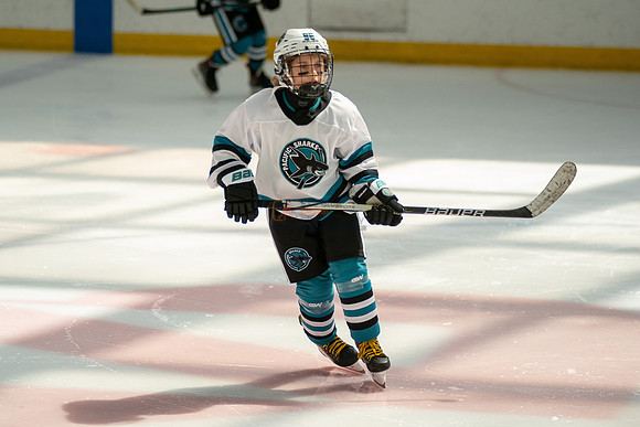 sharks-may2-0351