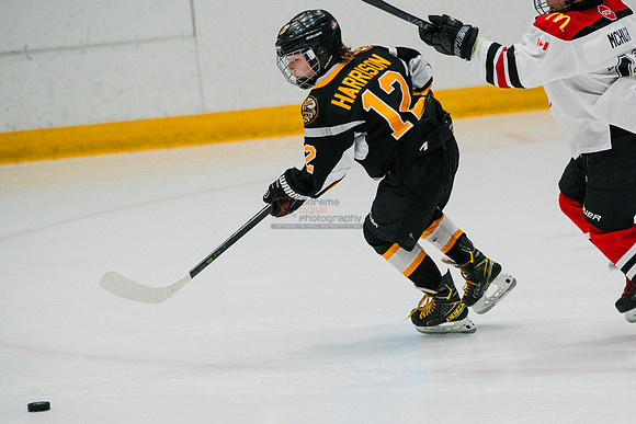hawksnov92024-14