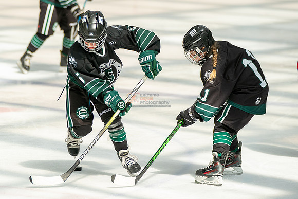 Husky-prospects-0278