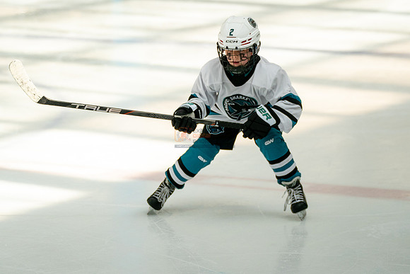 sharks-may2-0153