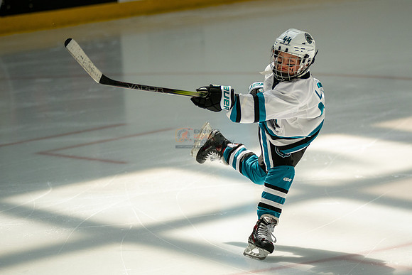 sharks-may2-0049