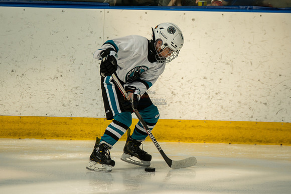 sharks-may2-0236