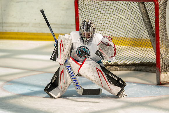 sharks-may2-0091