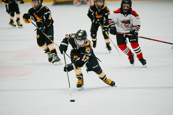 hawksnov92024-512