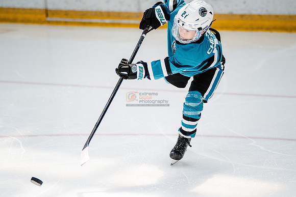 Sharks-may3-0061