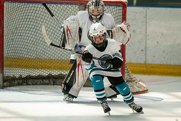 sharks-may2-0307