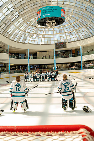 sharks-may2-9583