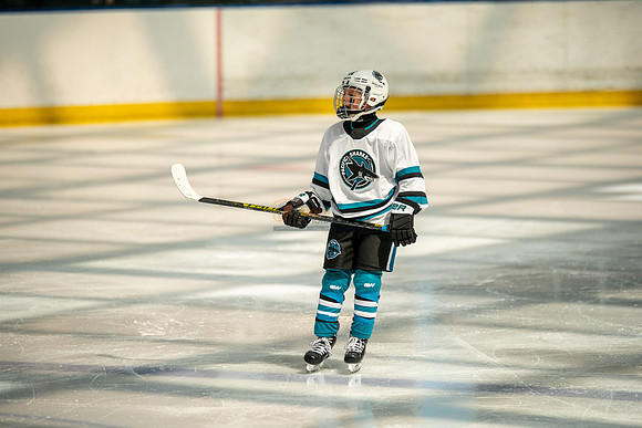 sharks-may2-0187