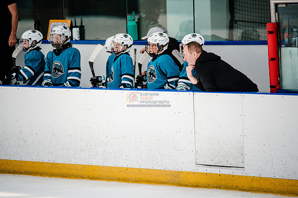Sharks-may3-0200