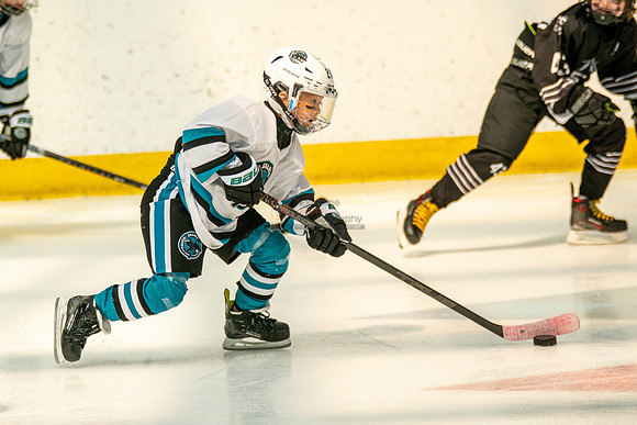 sharks-may2-0213