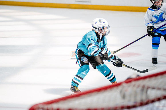 Sharks-may3-0238