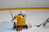 PRedators-yellow-22