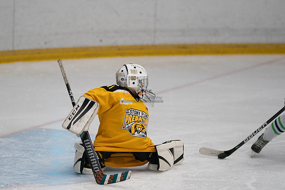 PRedators-yellow-22