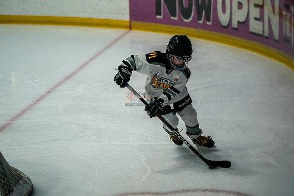 stplpreds-41