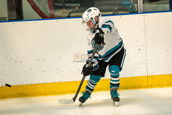 sharks-may2-0156