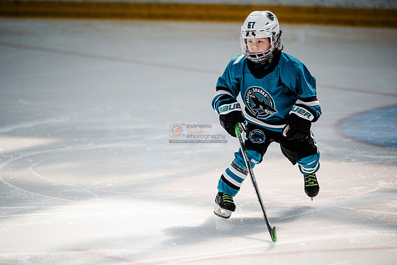 Sharks-may3-0109