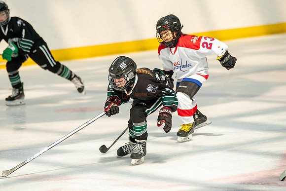 Husky-prospects-0283