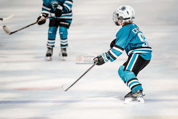 Sharks-may3-0196