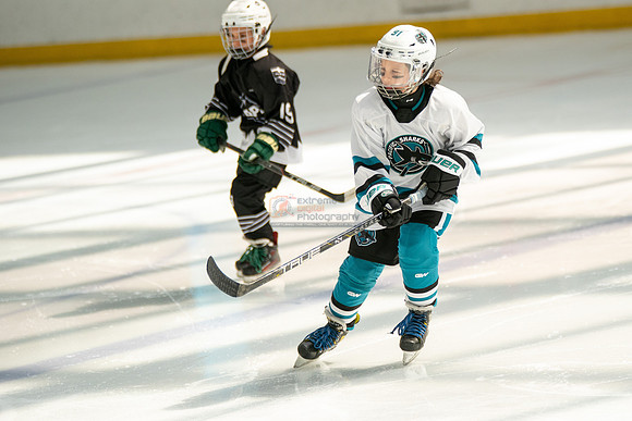 sharks-may2-0282