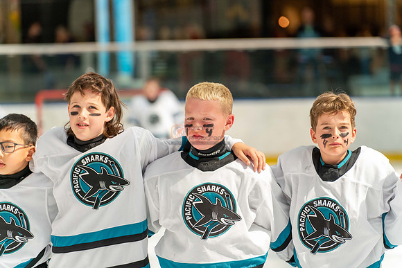 sharks-may2-9561