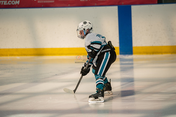 sharks-may2-0057