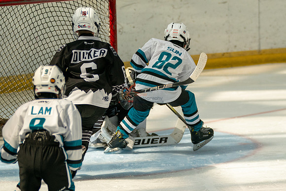 sharks-may2-0117
