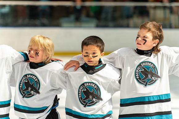 sharks-may2-9566