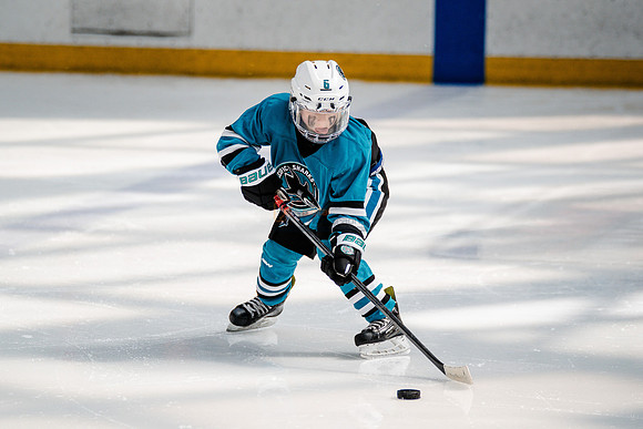 Sharks-may3-0166