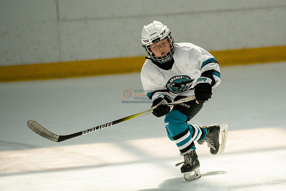 sharks-may2-0314