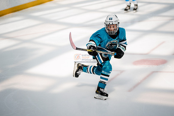 Sharks-may3-0213